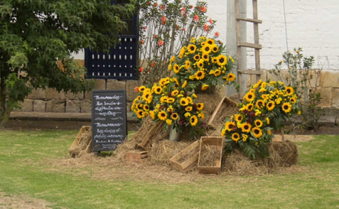 HACIENDA HARAS PRIMAVERA